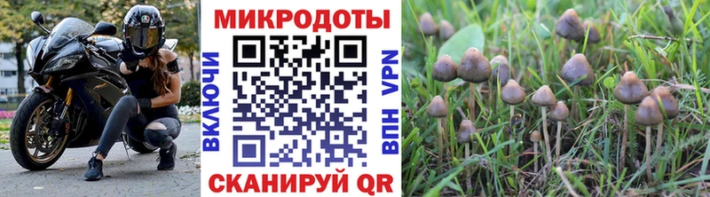 Псилоцибиновые грибы ЛСД  omg вход  Смоленск 