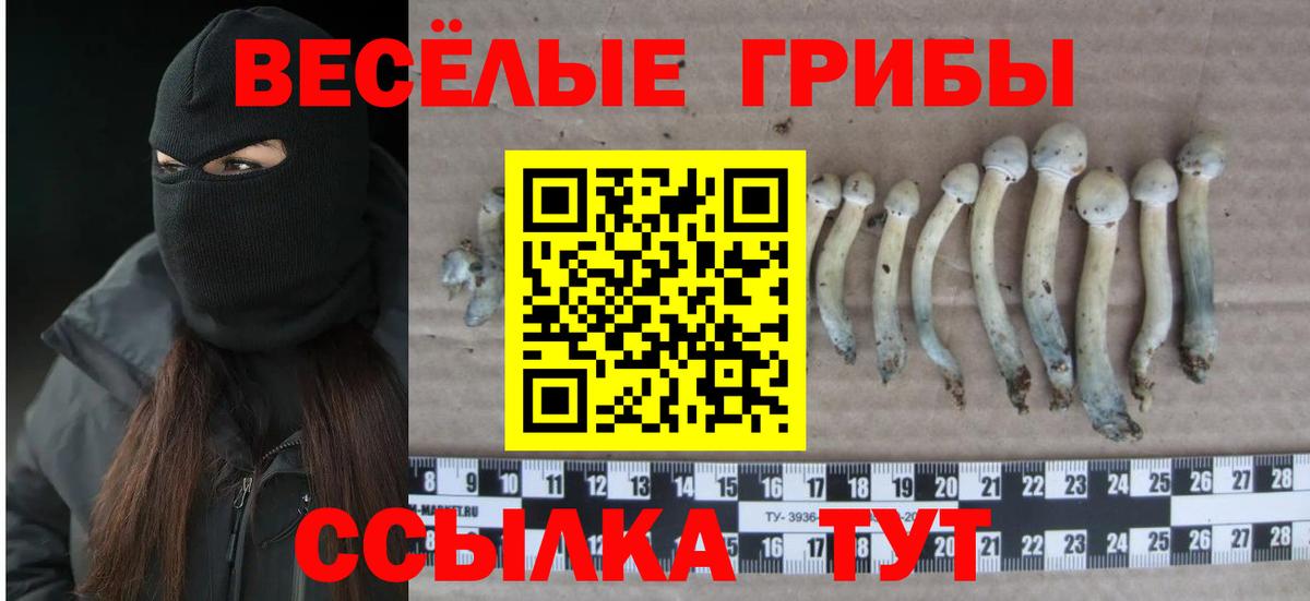 Псилоцибиновые грибы MAGIC MUSHROOMS Смоленск